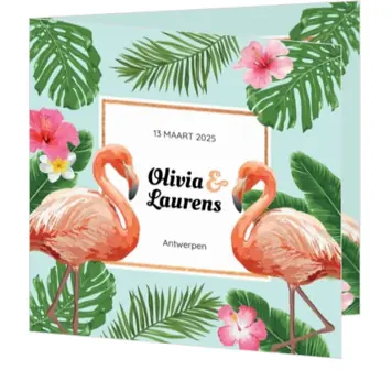 Tropische flamingo's 127027