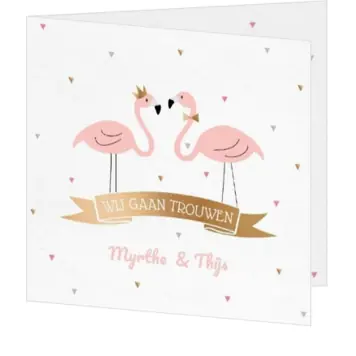 We flamin-go together AVA7001