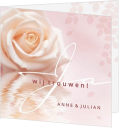 Trouwkaarten paars en roze - trouwkaart 212051-00