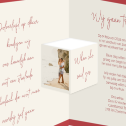 Bruiloft uitnodigingen collectie - trouwkaart LCT067-1