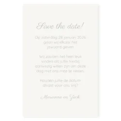 Save the date kaart zilveren sneeuw