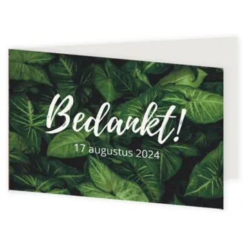Bedankkaart groene bladeren