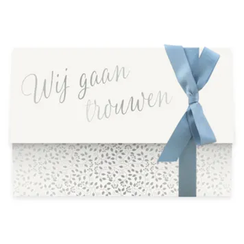 Trouwkaart blaadjes glimmend zilver met licht blauwe strik