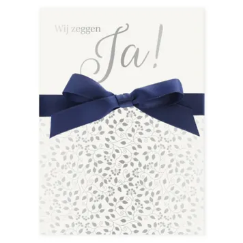 Trouwkaart glimmend zilver met donker blauwe strik