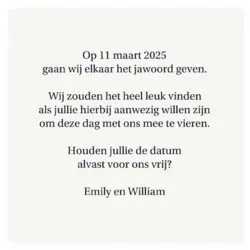 Save the date kaart eenvoudig blauw