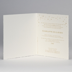 Trouwkaarten in wit en crème kleur - trouwkaart 108041