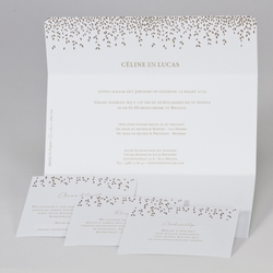 Bruiloft uitnodigingen collectie - trouwkaart 108070