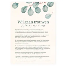 eucalyptusbladeren - enkel 