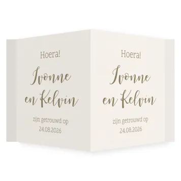 Raambord taupe bruin